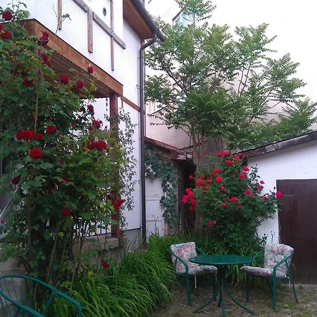 Bosnian House Old Town * Saraybosna