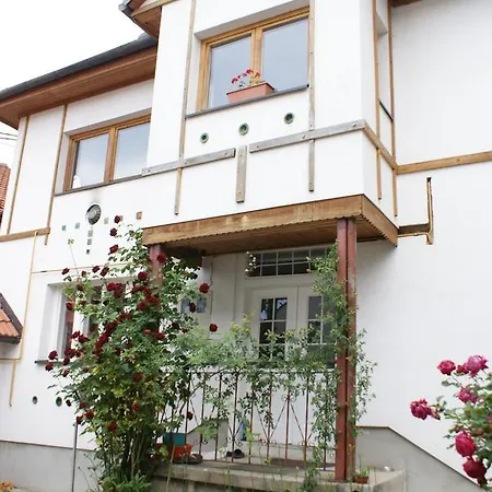 Daire Bosnian House Old Town *